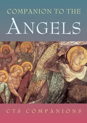 Companion to the Angels (ebook)