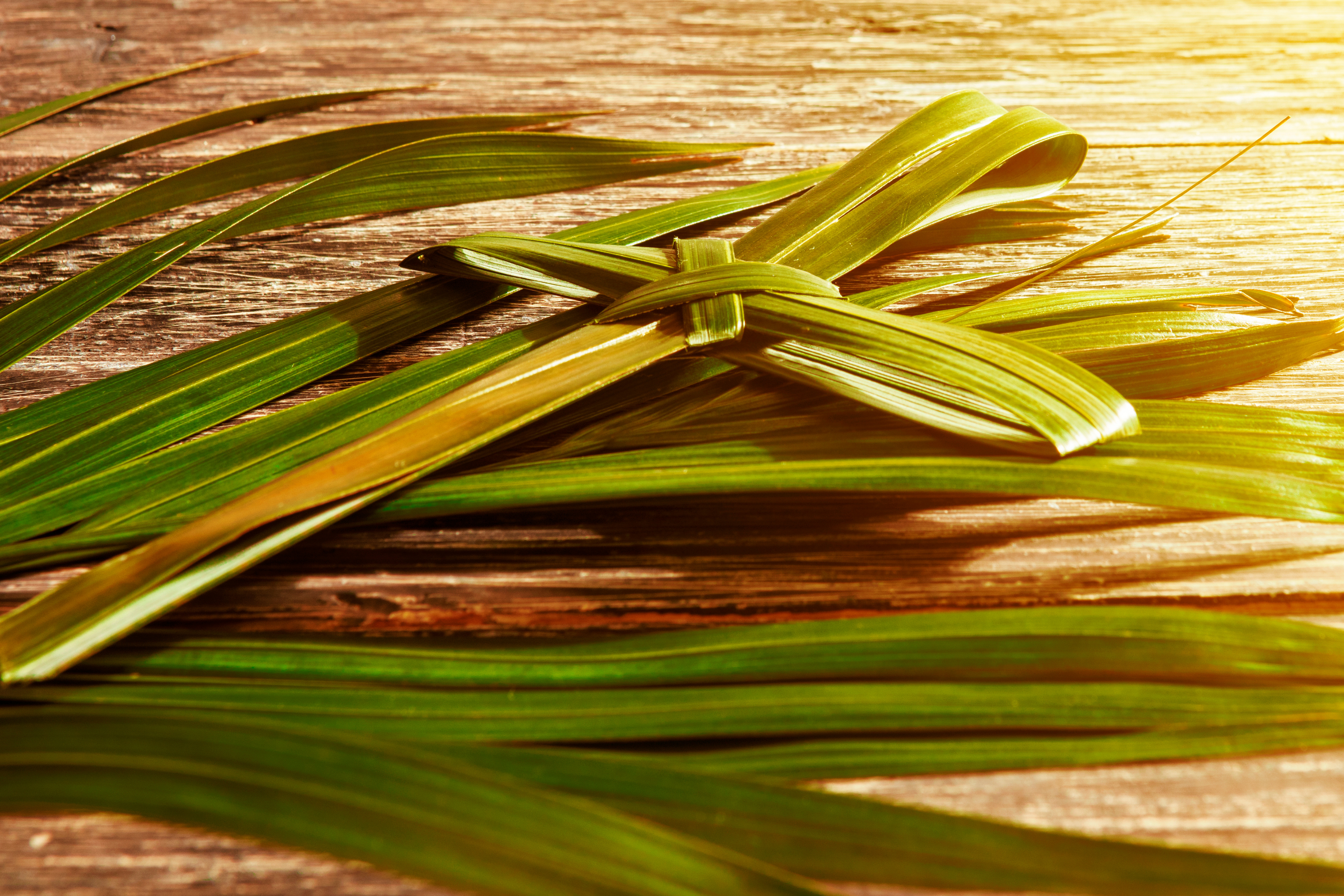 Palm Sunday: Catholic Customs & Traditions