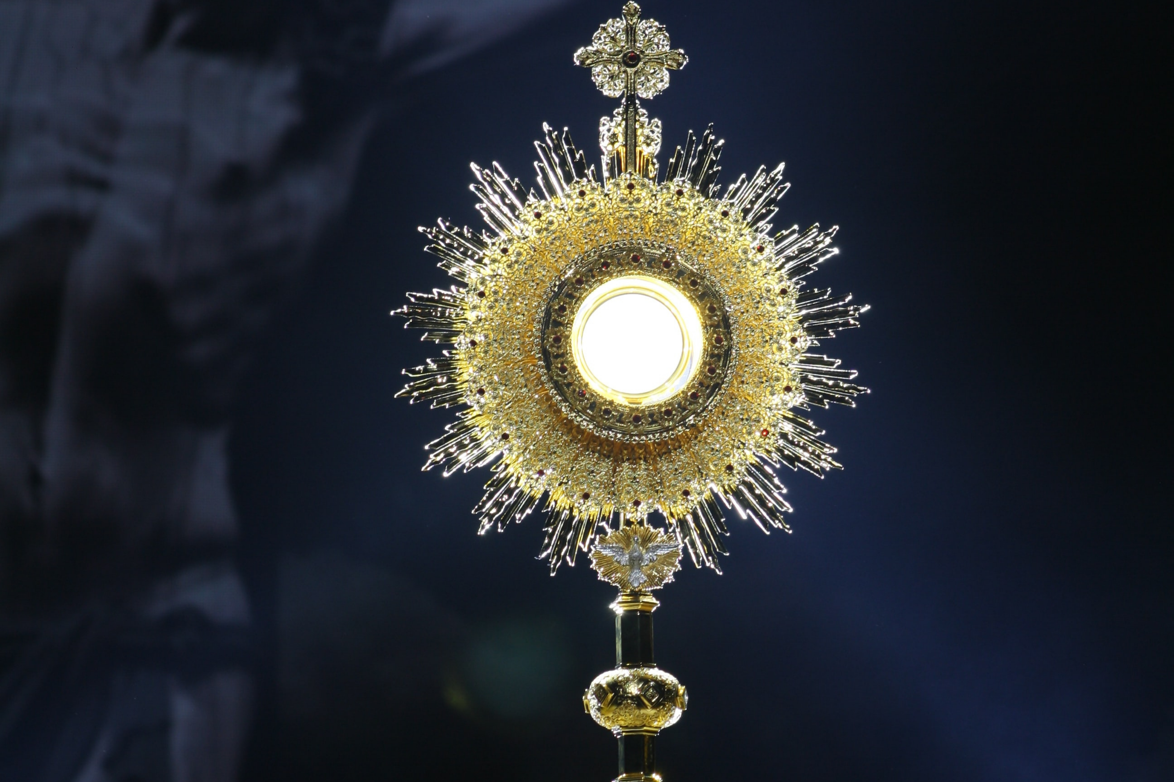 The Blessed Sacrament exposed within a gold monstrance.