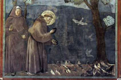 St Francis and Care for Creation