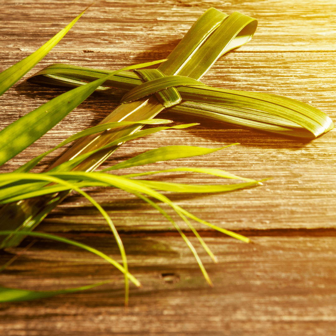 Palm Sunday: Catholic Customs & Traditions