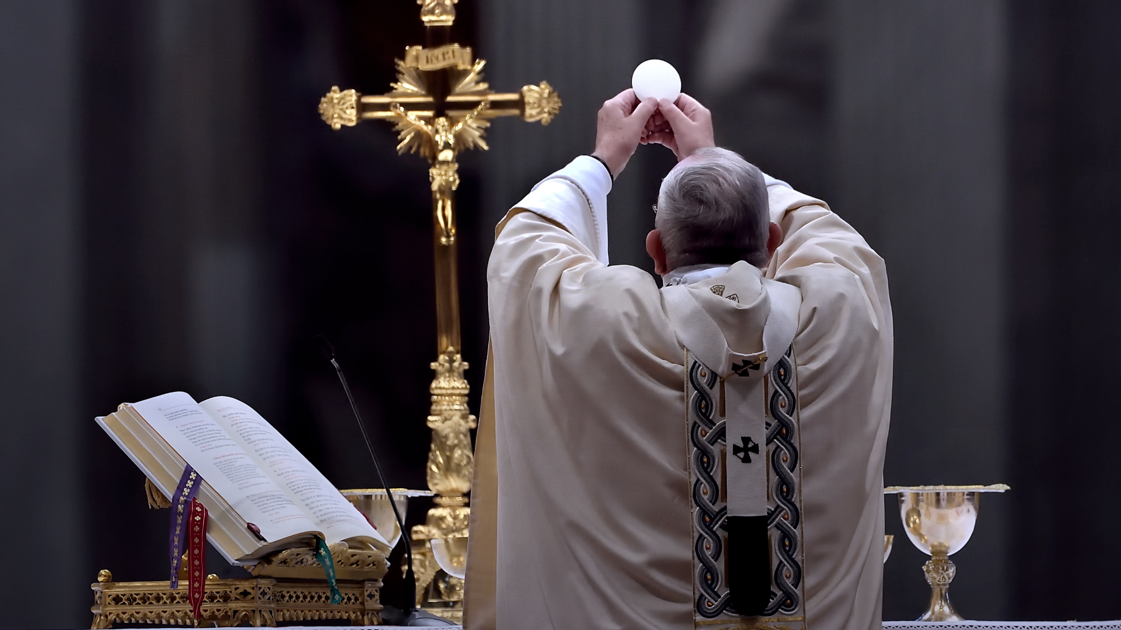 Pope Francis celebrates Mass