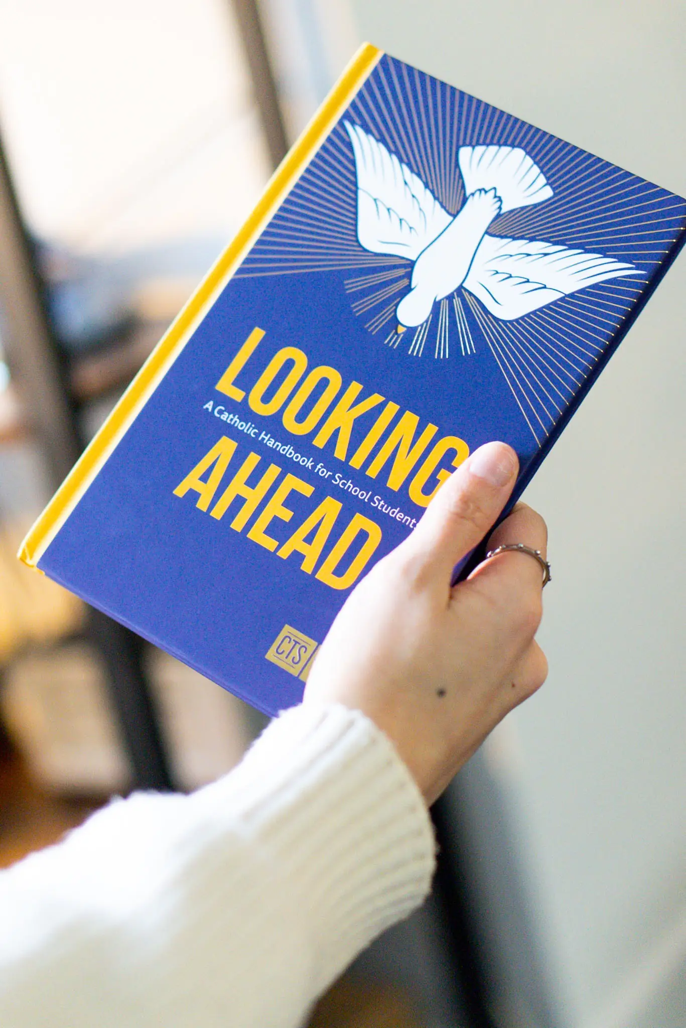 Looking Ahead: A Catholic Handbook for School Students - Image 2