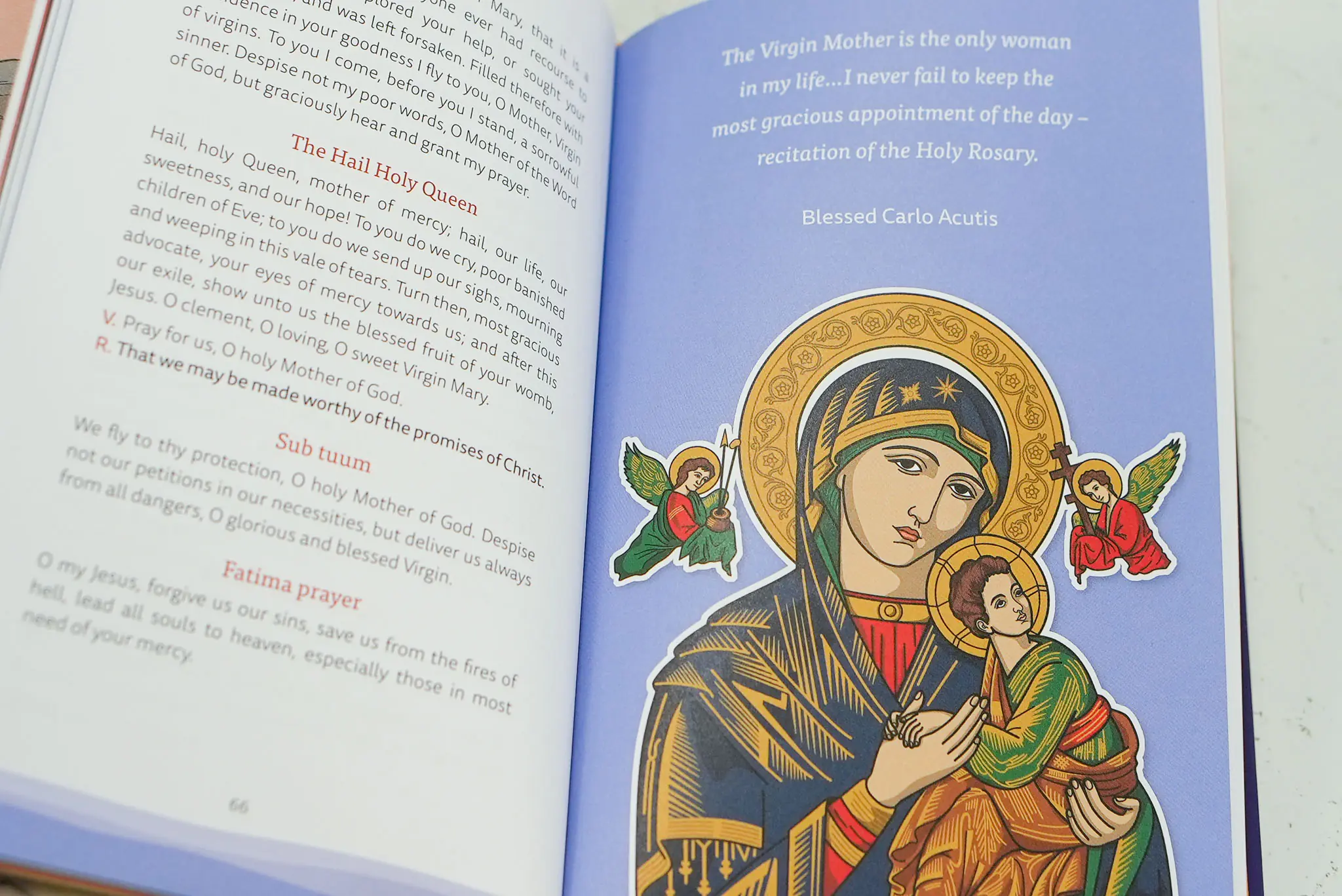 Looking Ahead: A Catholic Handbook for School Students - Image 6