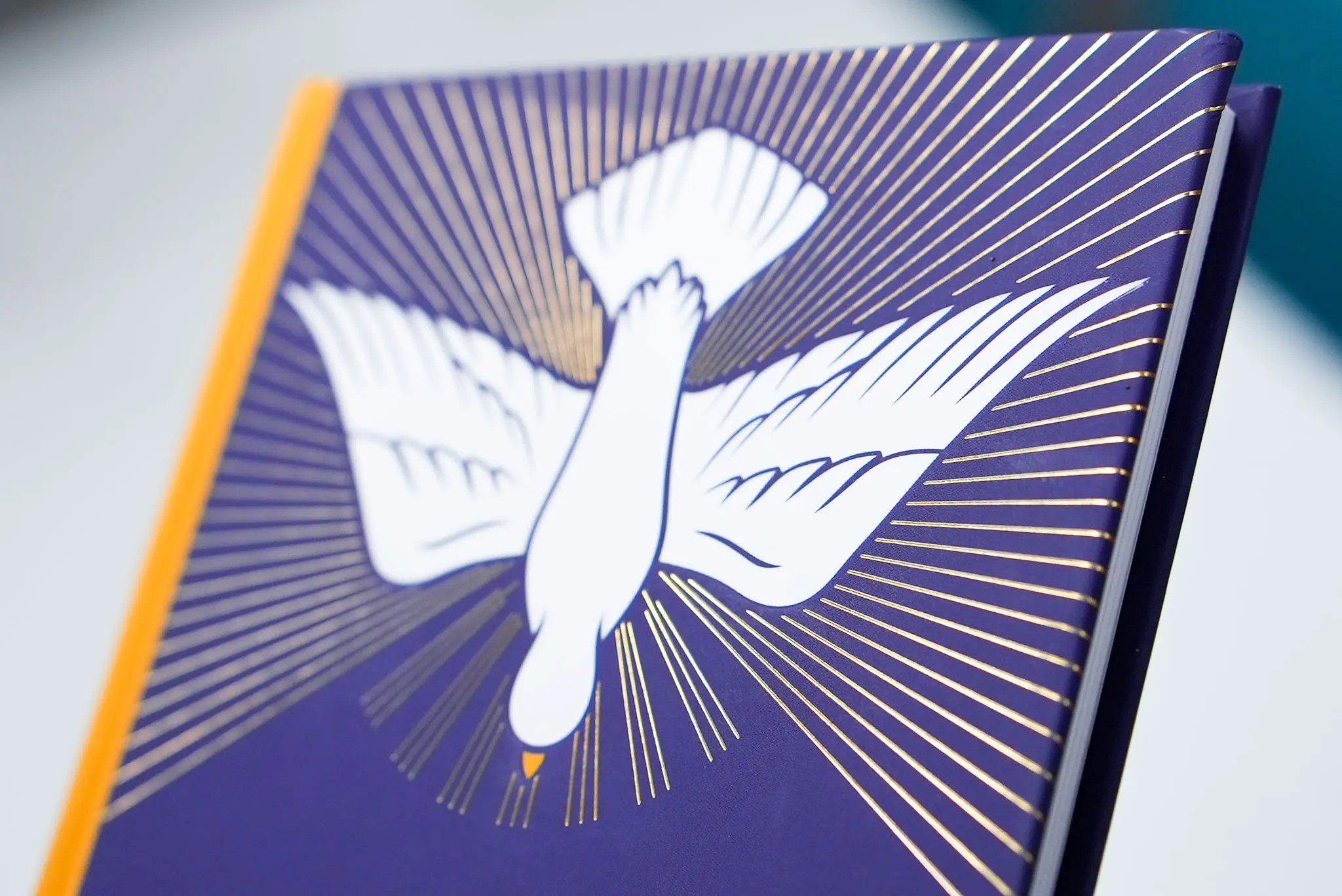 Looking Ahead: A Catholic Handbook for School Students - Image 9