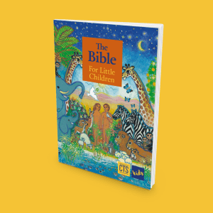 The Bible for Little Children